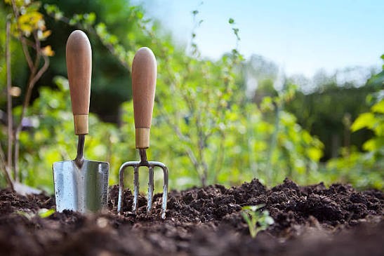 Des outils de jardinage plantés dans la terre.